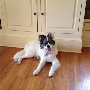 Meet your Posher, John